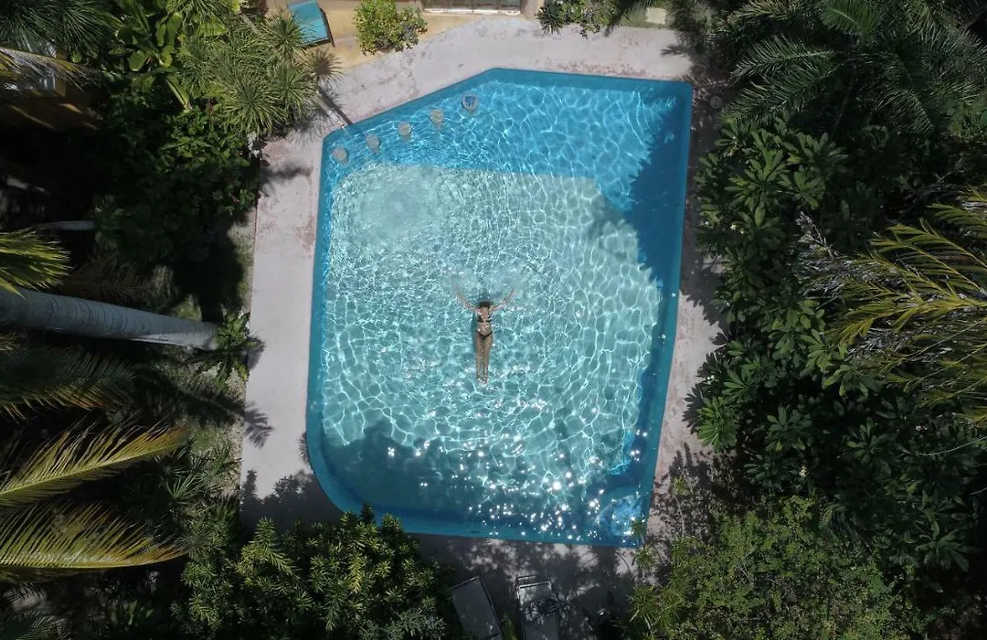 Casa Kin33-1