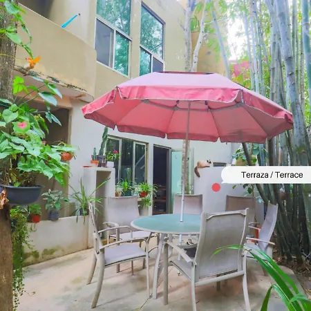 Guest House La Aldea Holistic Experience-3